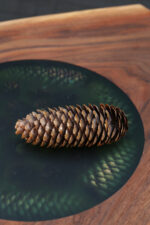 Coffe Table No.5 | Walnut, Epoxy, Pinecones, Maple  SKU - Image 5