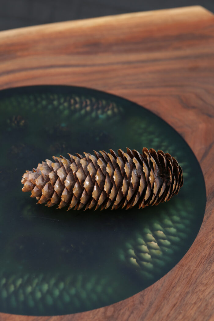 Coffe Table No.5 | Walnut, Epoxy, Pinecones, Maple  SKU - Image 5